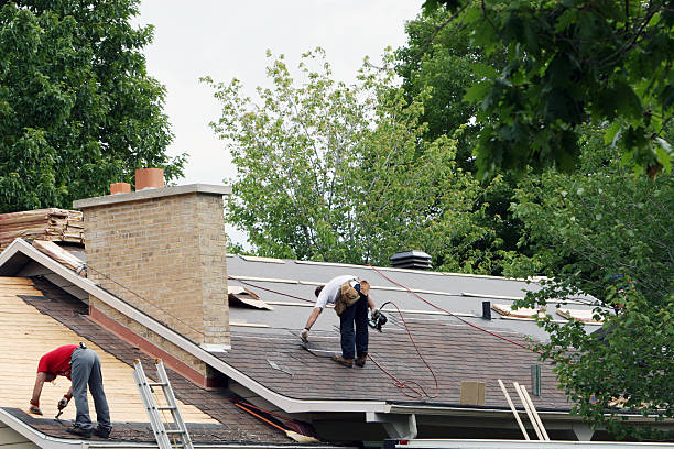 Best Roof Gutter Cleaning  in Poth, TX